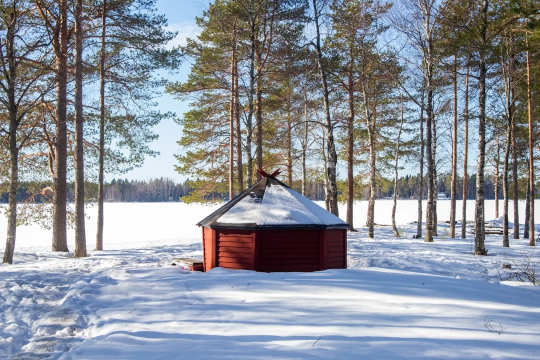 Pihasauna talvisessa metsässä